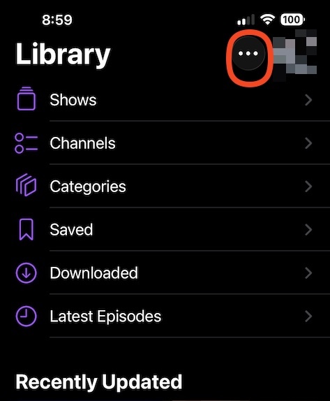 More options menu in Apple Podcasts